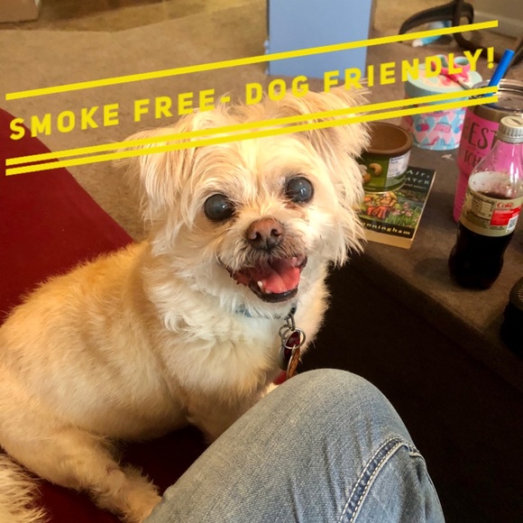 Vintage Lilac Willowridge Top - Picture 6 of 7